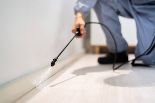 Licensed Termite Control service in East Lansing, MI - Nex Pest Control