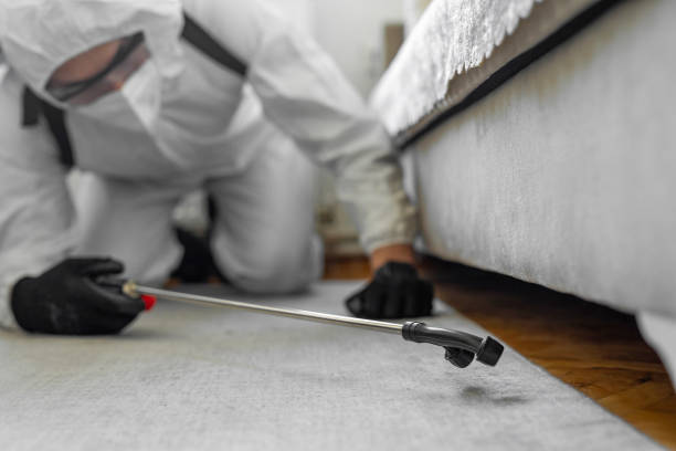 Professional Termite Control technician working in East Lansing, MI
