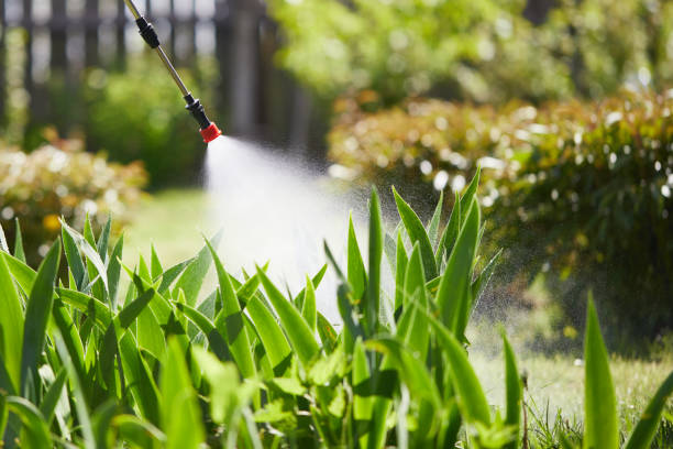 24/7 Emergency Termite Control experts in East Lansing, MI