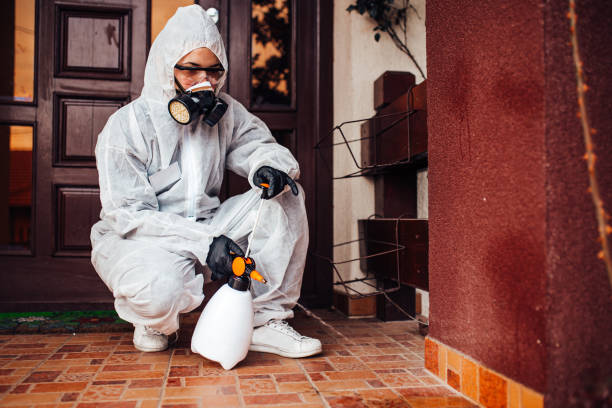 Reliable Termite Control contractor in East Lansing, MI by Nex Pest Control