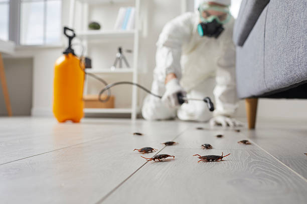 Trusted Termite Control service in East Lansing, MI - Nex Pest Control